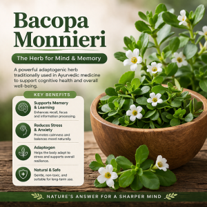 Bacopa Monnieri
