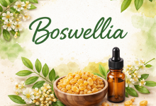 Boswellia