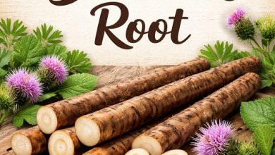 Burdock Root