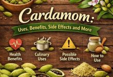 Cardamom Uses, Benefits, Side Effects and More