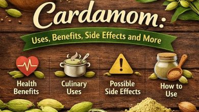 Cardamom Uses, Benefits, Side Effects and More