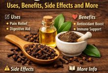 Clove Uses Benefits, Side Effects and More