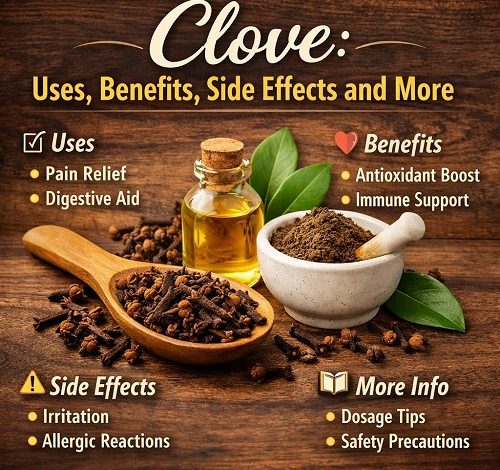 Clove Uses Benefits, Side Effects and More
