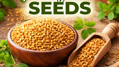 Fenugreek Seeds