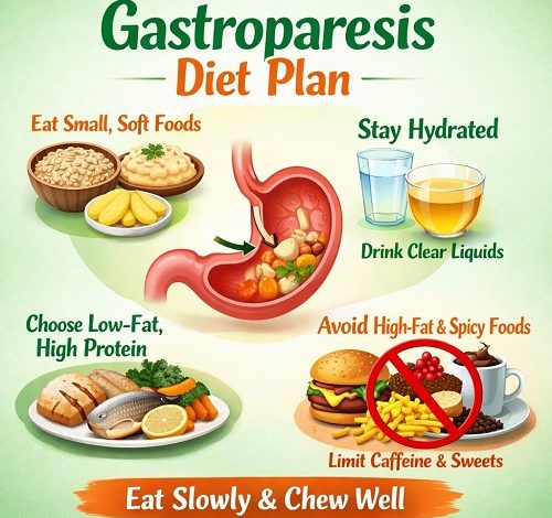 Gastroparesis Diet Plan