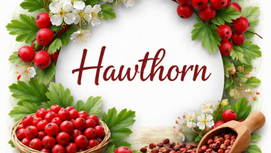 Hawthorn