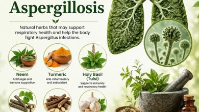 Herbal Remedies for Aspergillosis