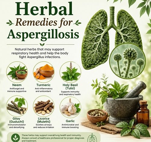 Herbal Remedies for Aspergillosis