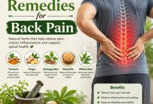 Herbal Remedies for Back Pain