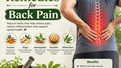 Herbal Remedies for Back Pain