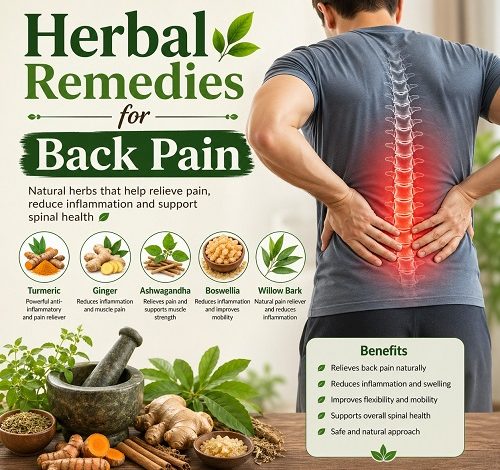 Herbal Remedies for Back Pain