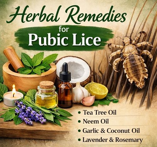 Herbal Remedies for Pubic Lice