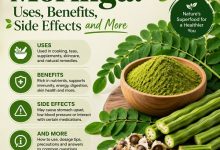 Moringa Uses, Benefits, Side Effects and More