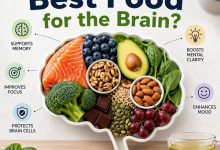 What Is the Best Food for the Brain