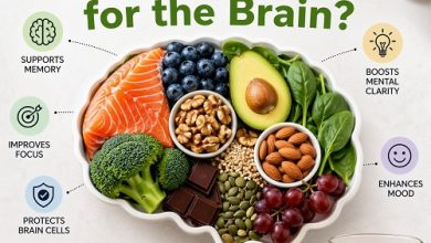 What Is the Best Food for the Brain