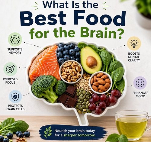 What Is the Best Food for the Brain