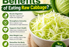What Are the Benefits of Eating Raw Cabbage